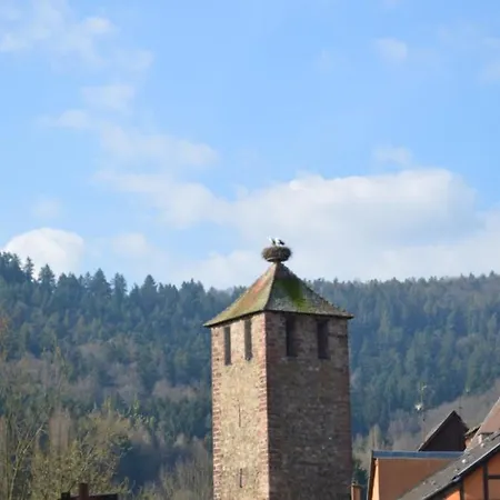 Au Coeur De L'alsace Διαμέρισμα *